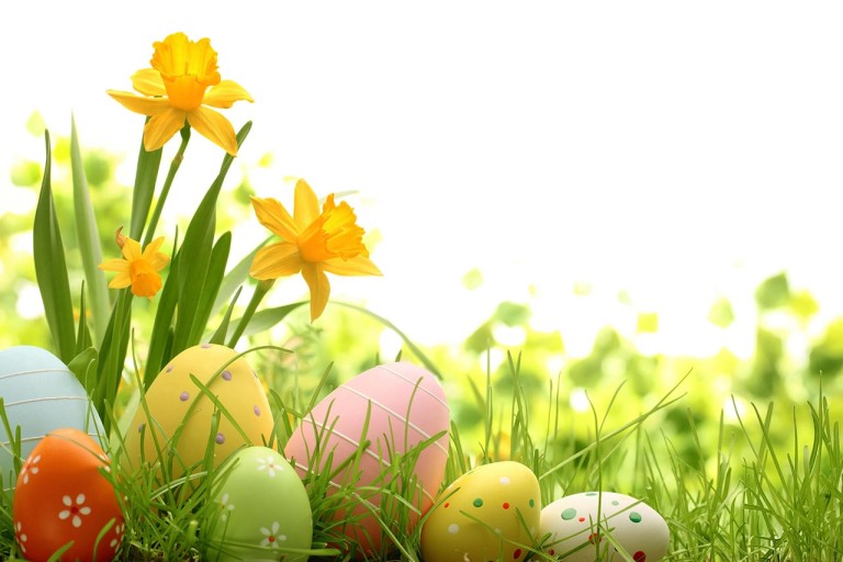 pasqua-camper