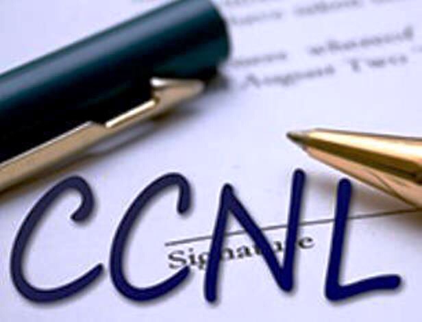 image-8.jpg